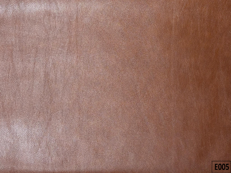 E005